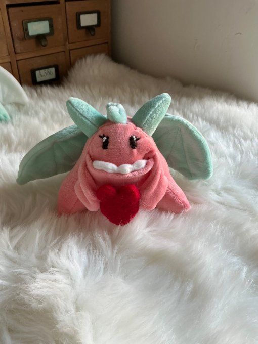 Mange-Soucis rose et vert d’eau